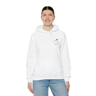 Bro Hoodie – Funny Capybara Embroidered Hoodie for Men & Women