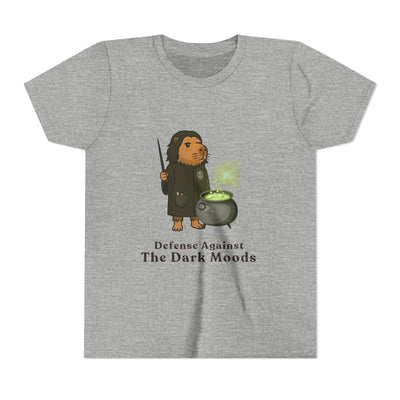 Graphic t-shirt featuring a capybara wizard character stirring a green potion, with text "Defense Against the Dark Moods" on a gray background.