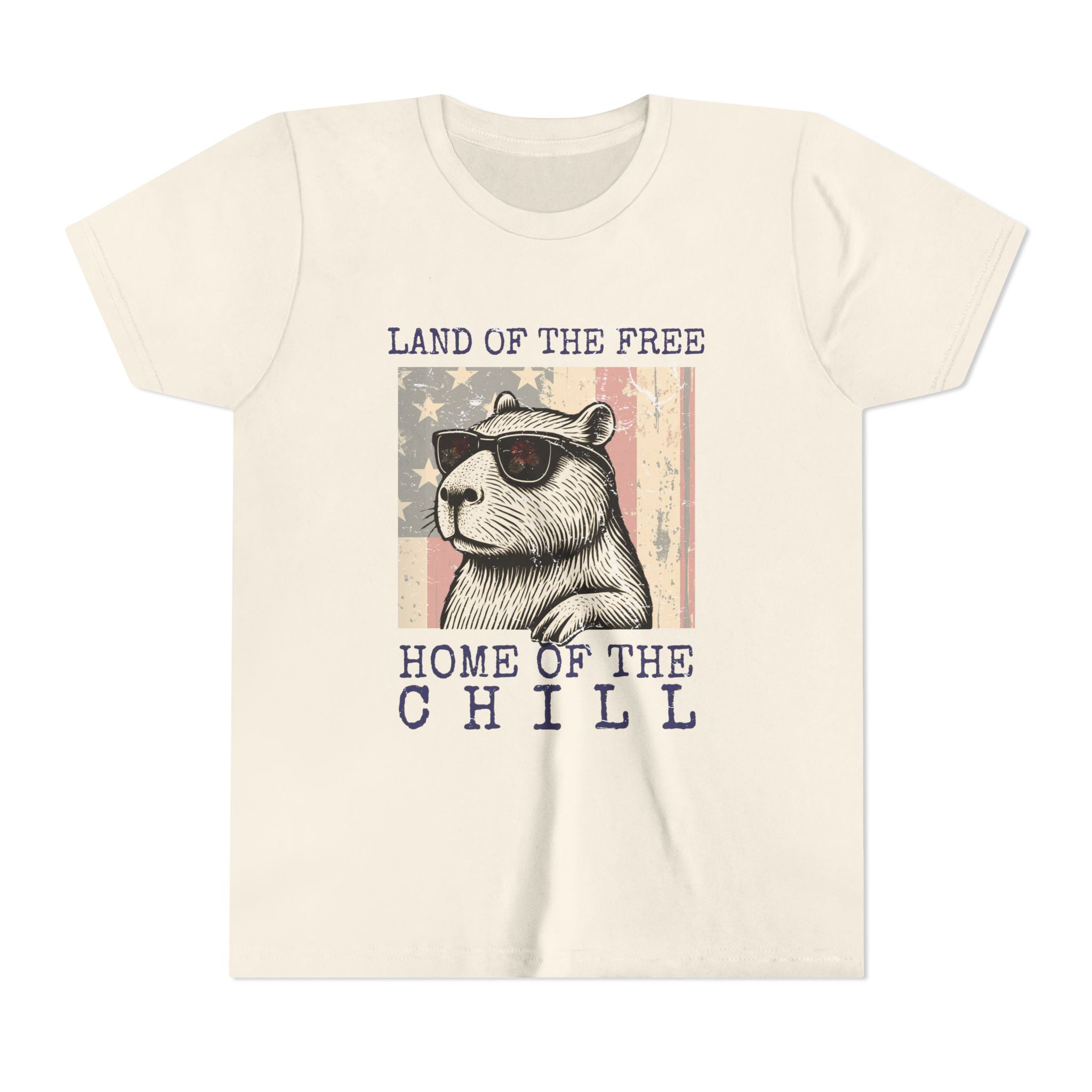 Capybara Land of the Free, Home of the Chill - Unisex Youth Tee