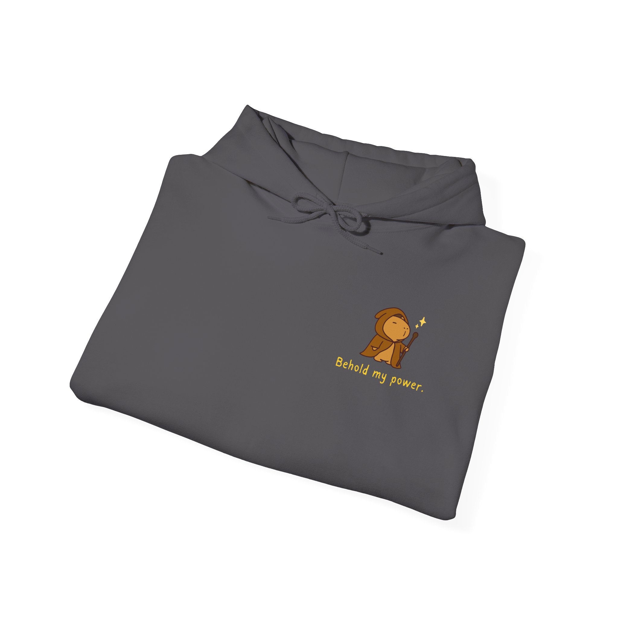 Behold My Power Hoodie – Funny Capybara Wizard Hoodie for Adults