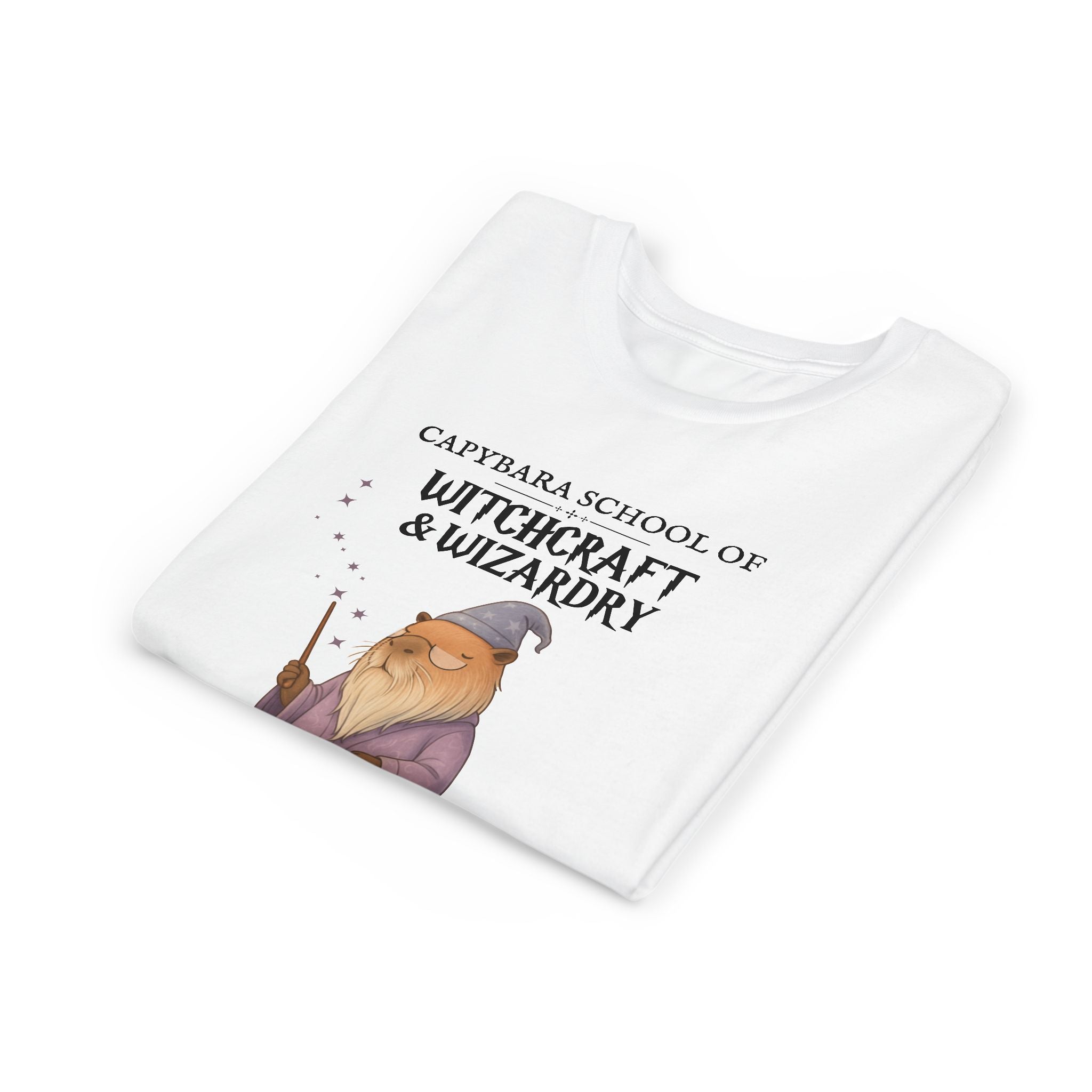Whimsical Youth Tee - Capybara School of Witchcraft & Wizardry, Wizard School Gift |  Youth Professor Chillindore Unisex Tee