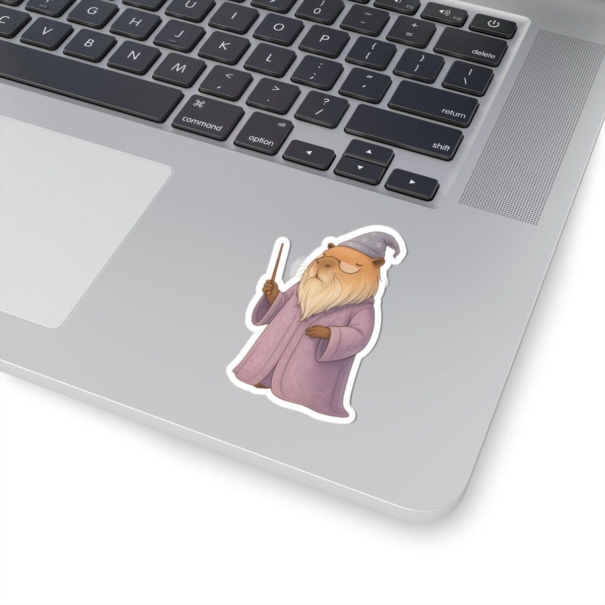 Whimsical Wizard Professor Chillindore Kiss-Cut Vinyl Sticker - Capybara School of Witchcraft & Wizardry - Gifts for Kids, Laptop Stickers, Creative Party Favors