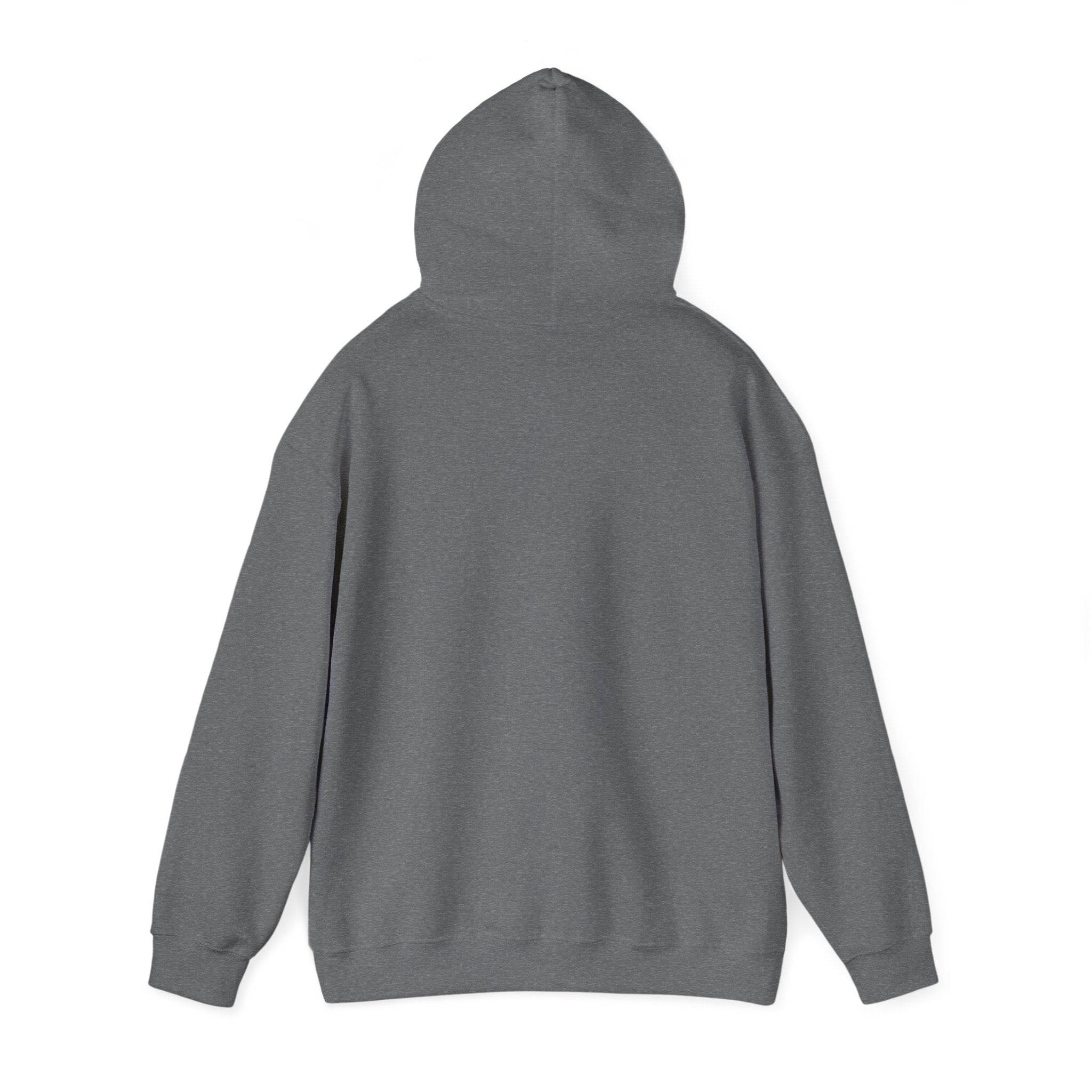 Star Wars Parody Hoodie – These Aren’t the Capybaras You’re Looking For – Obi-Wan Capybara – Funny Nerd Gift – Youth & Adult Sizes – Tatooine Suns Sci-Fi Sweatshirt