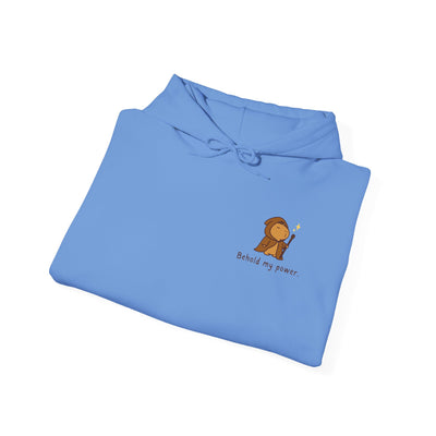 Behold My Power Hoodie – Funny Capybara Wizard Hoodie for Adults