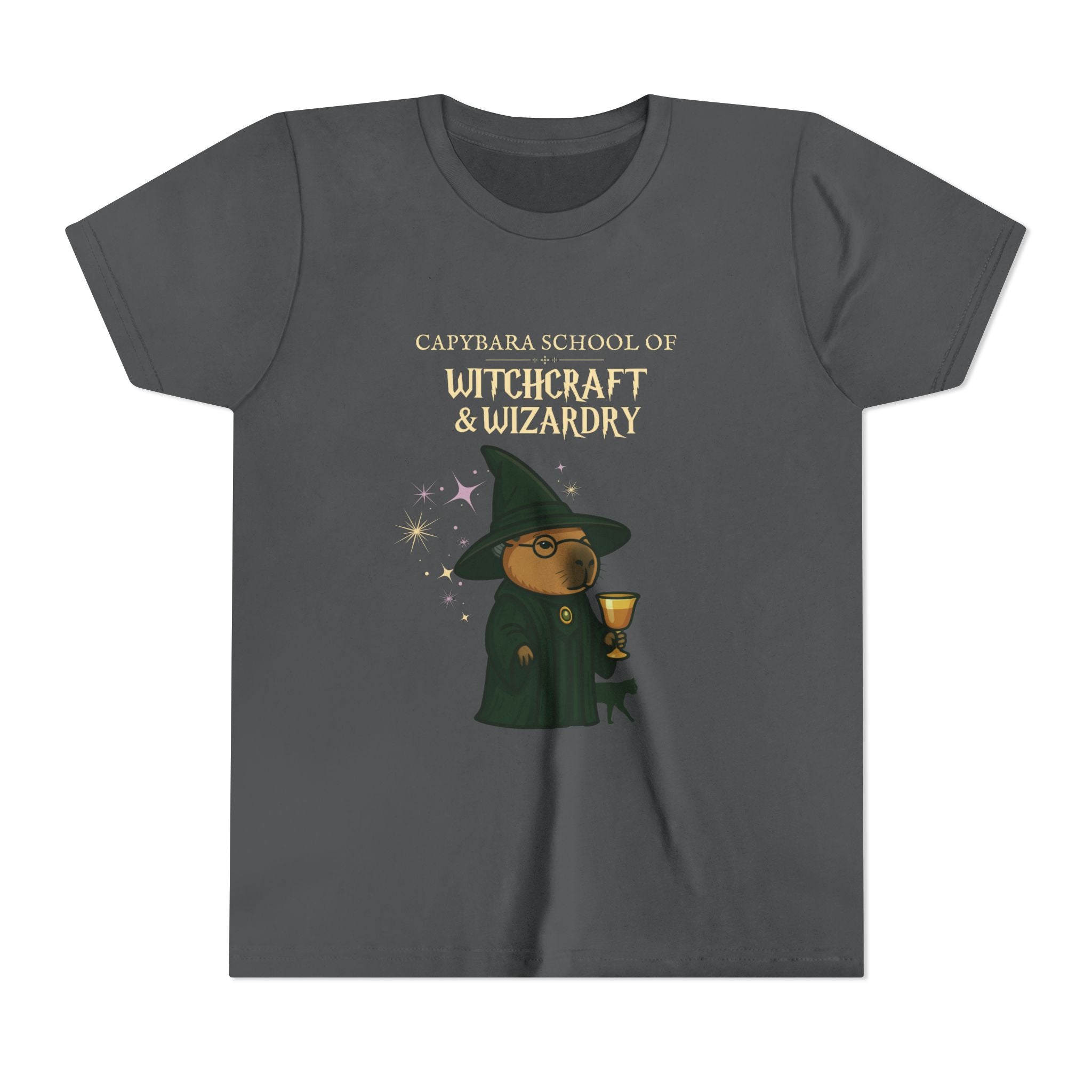 Whimsical Youth Tee - Capybara Professor McGonagall Shirt, Capybara School of Witchcraft & Wizardry, Funny Harry Potter Parody | Magical Fandom Gift |  Unisex Tee