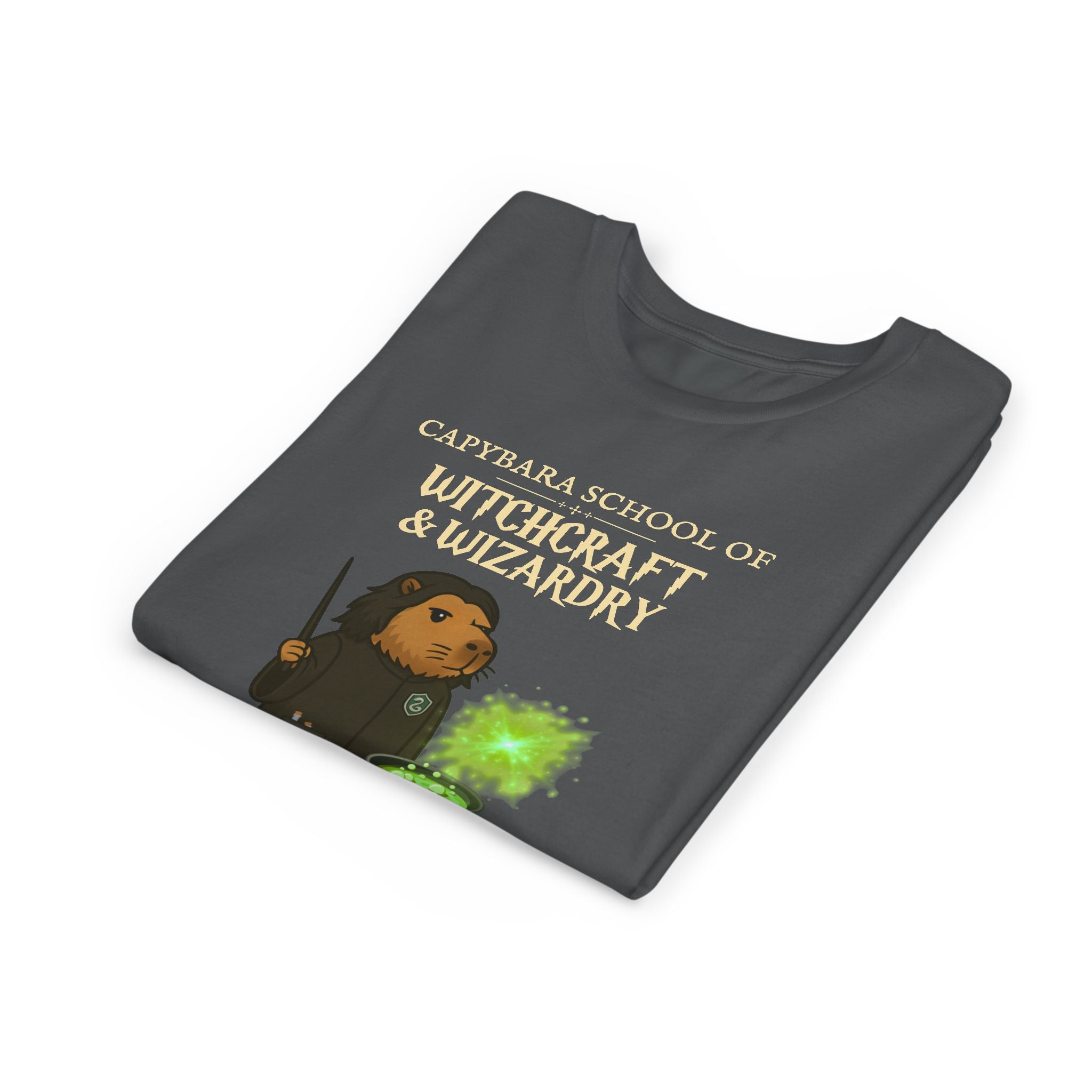 Whimsical Youth Tee - Capybara School of Witchcraft & Wizardry | Potions Master Gift |  Youth Severus Napebara Unisex Tee