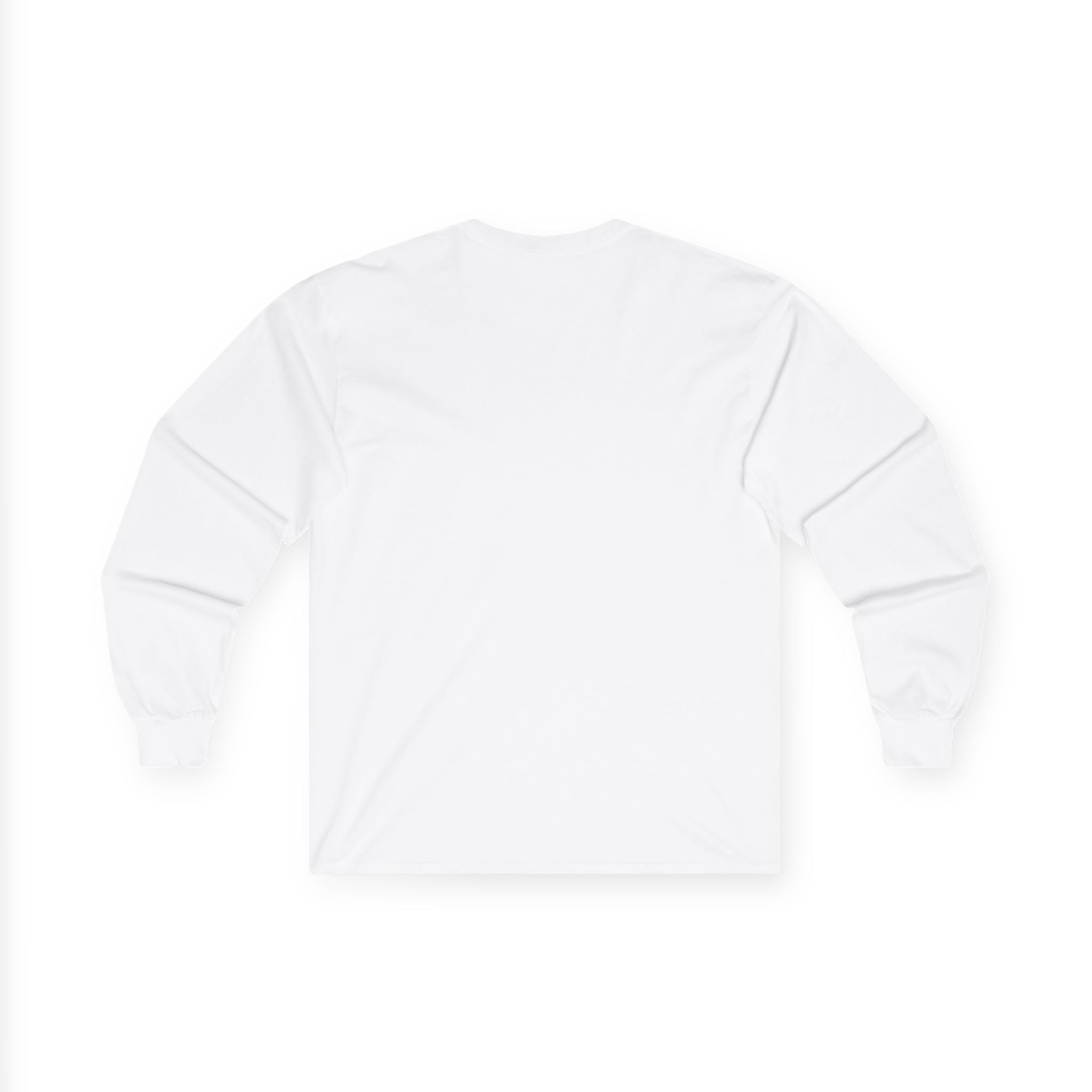 Funny Minimalist Long Sleeve Tee - Capybara Causing Problems Politely