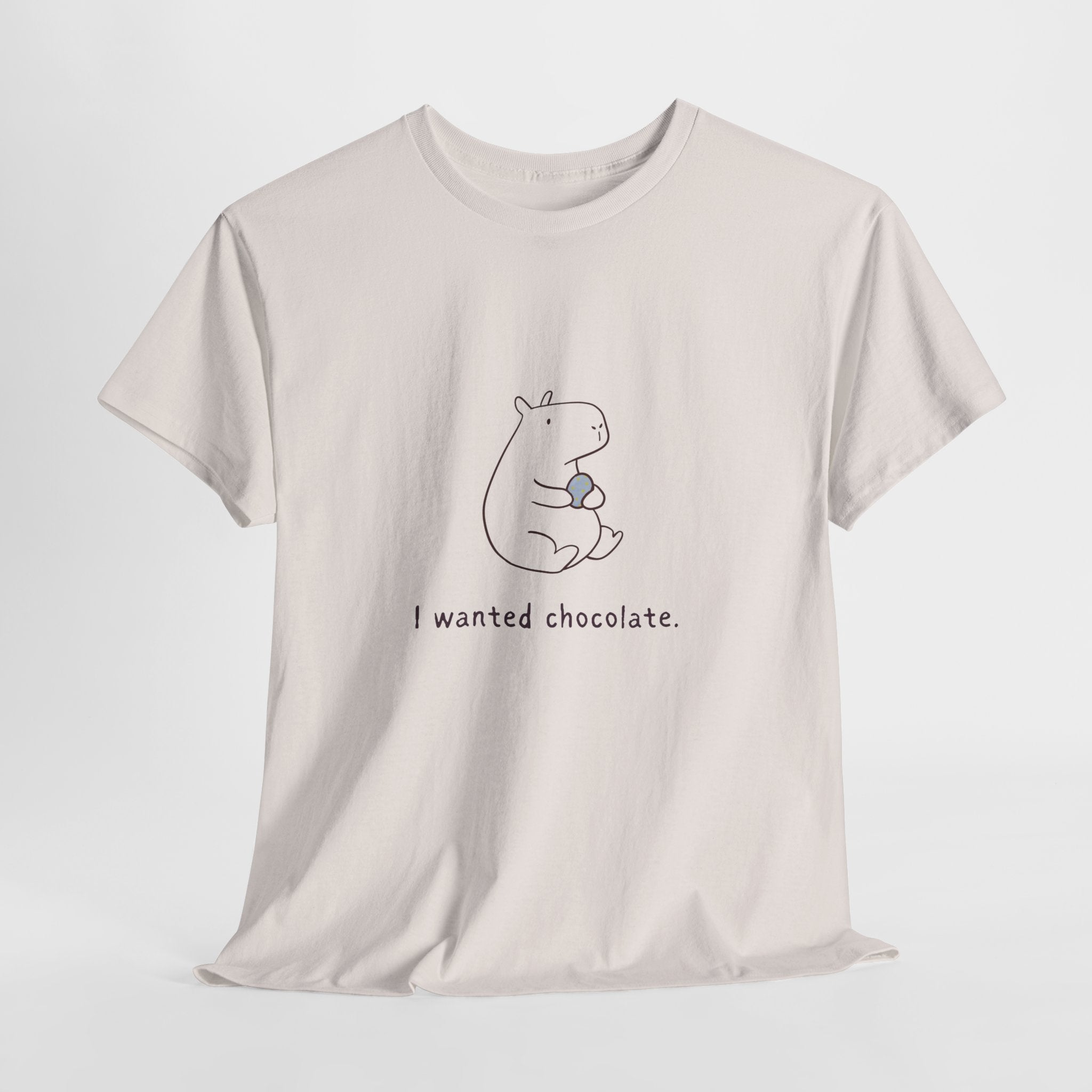 Funny Easter Capybara T-Shirt – “I Wanted Chocolate” Minimalist Easter Shirt, Cute Spring Graphic Tee