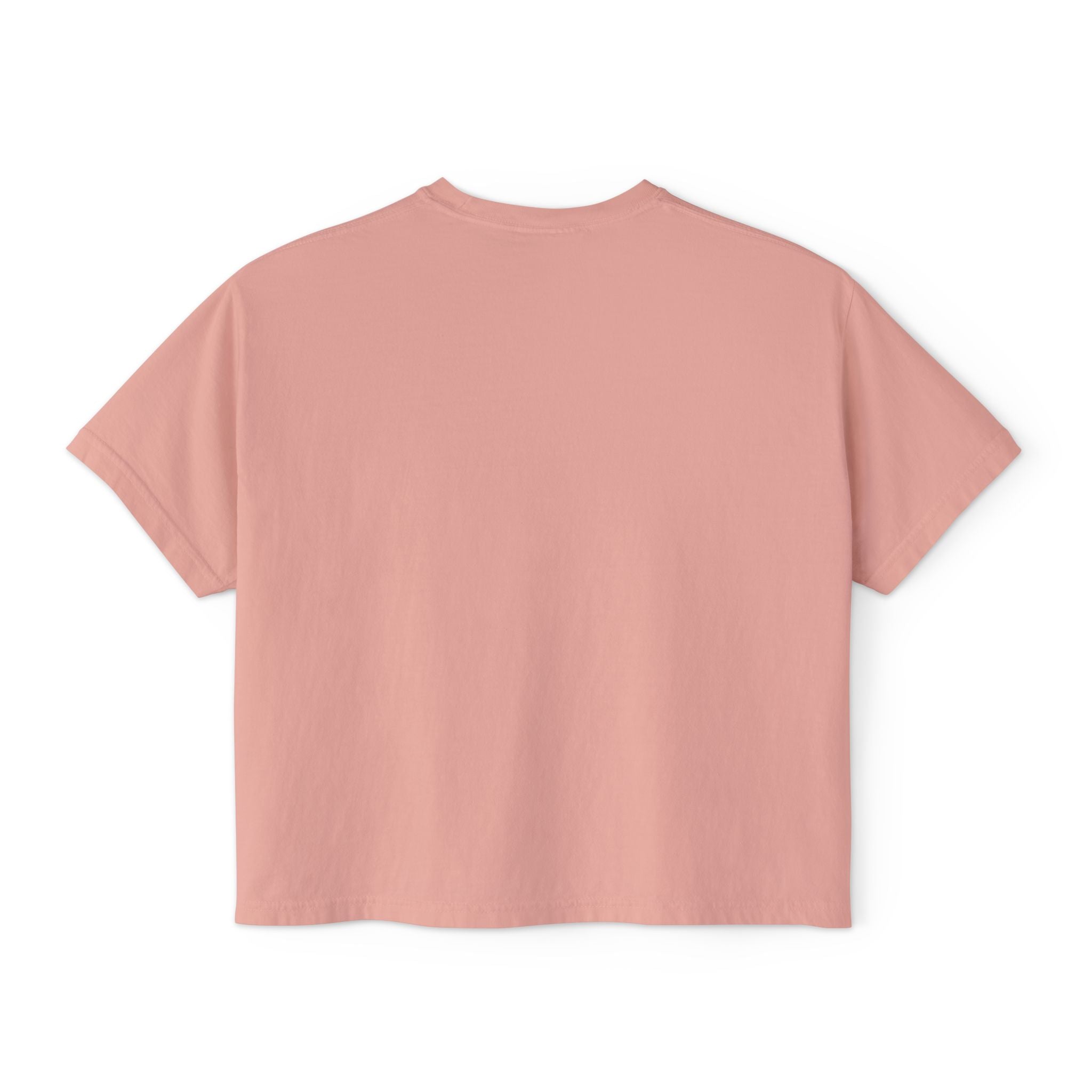 Funny Womens Boxy Tee - Capybara Causing Problems Politely