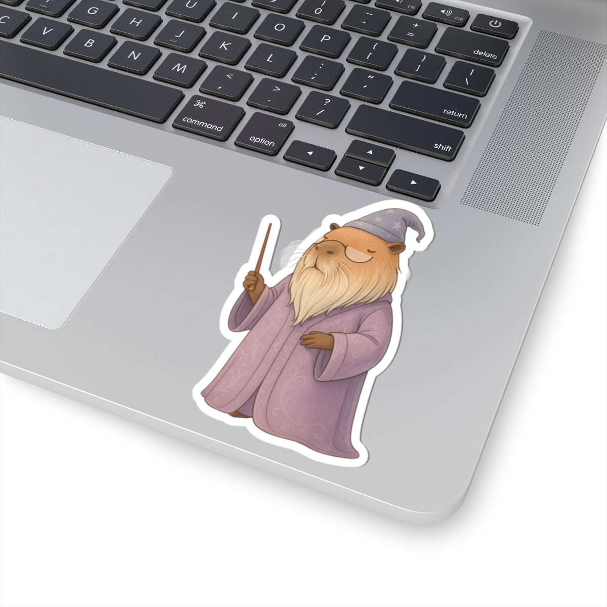 Whimsical Wizard Professor Chillindore Kiss-Cut Vinyl Sticker - Capybara School of Witchcraft & Wizardry - Gifts for Kids, Laptop Stickers, Creative Party Favors