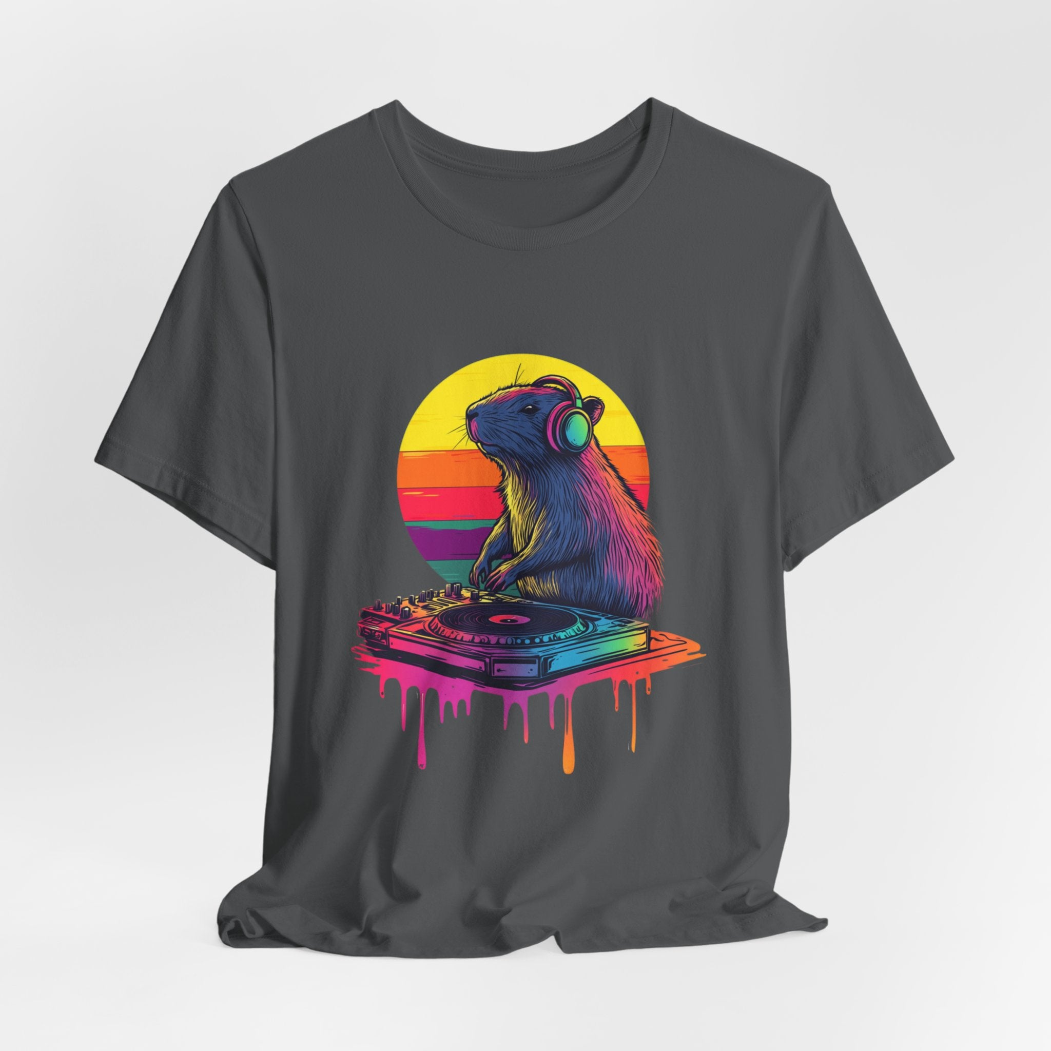 Retro DJ Capybara Single Disk - Unisex Adult Softstyle Sleeve Tee