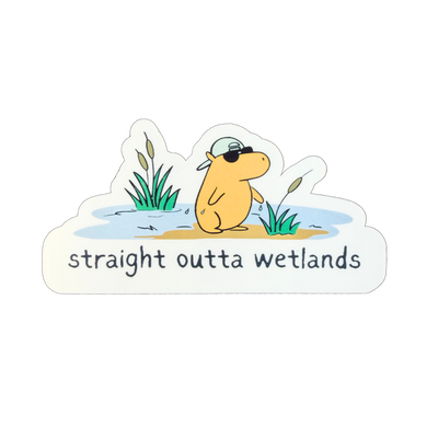 Straight Outta Wetlands – Die Cut Capybara Sticker