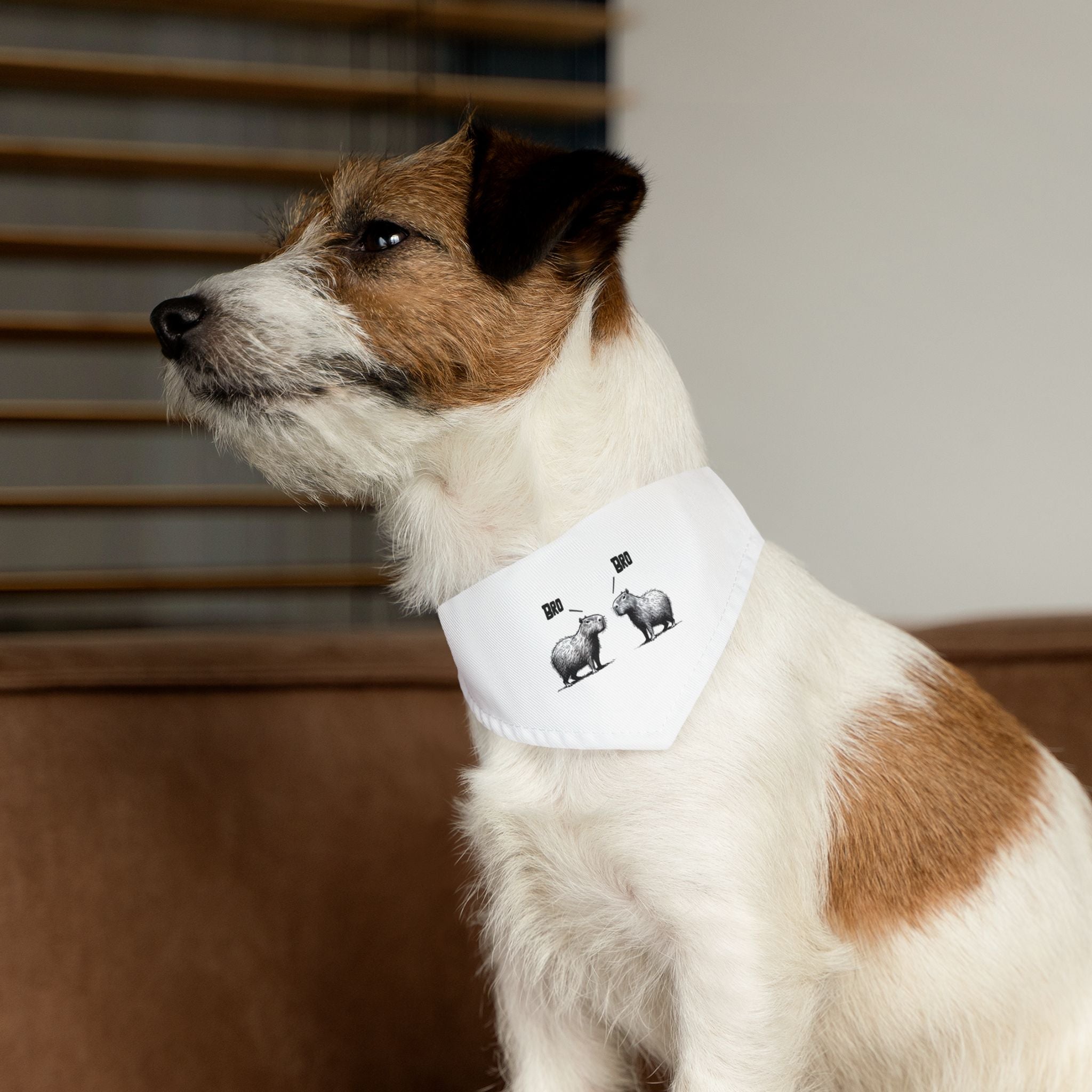 Funny Pet Bandana Collar for Chill Dogs - Bro Bro Capybara Design