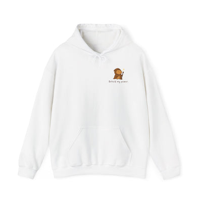 Behold My Power Hoodie – Funny Capybara Wizard Hoodie for Adults