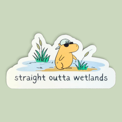 Straight Outta Wetlands – Die Cut Capybara Sticker