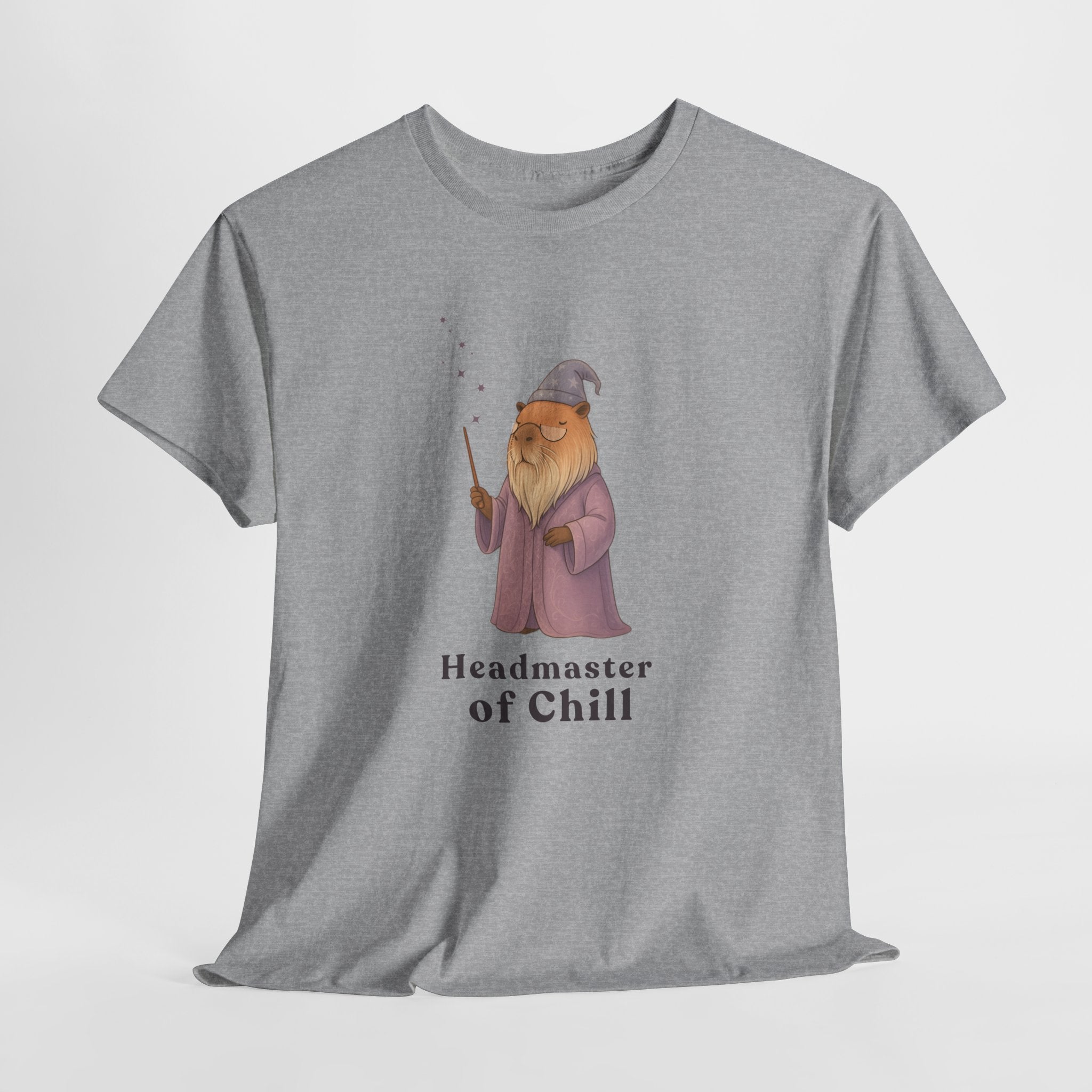 Headmaster of Chill T-Shirt | The Unbothered Wizard Collection Adult Tee