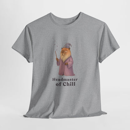 Headmaster of Chill T-Shirt | The Unbothered Wizard Collection Adult Tee