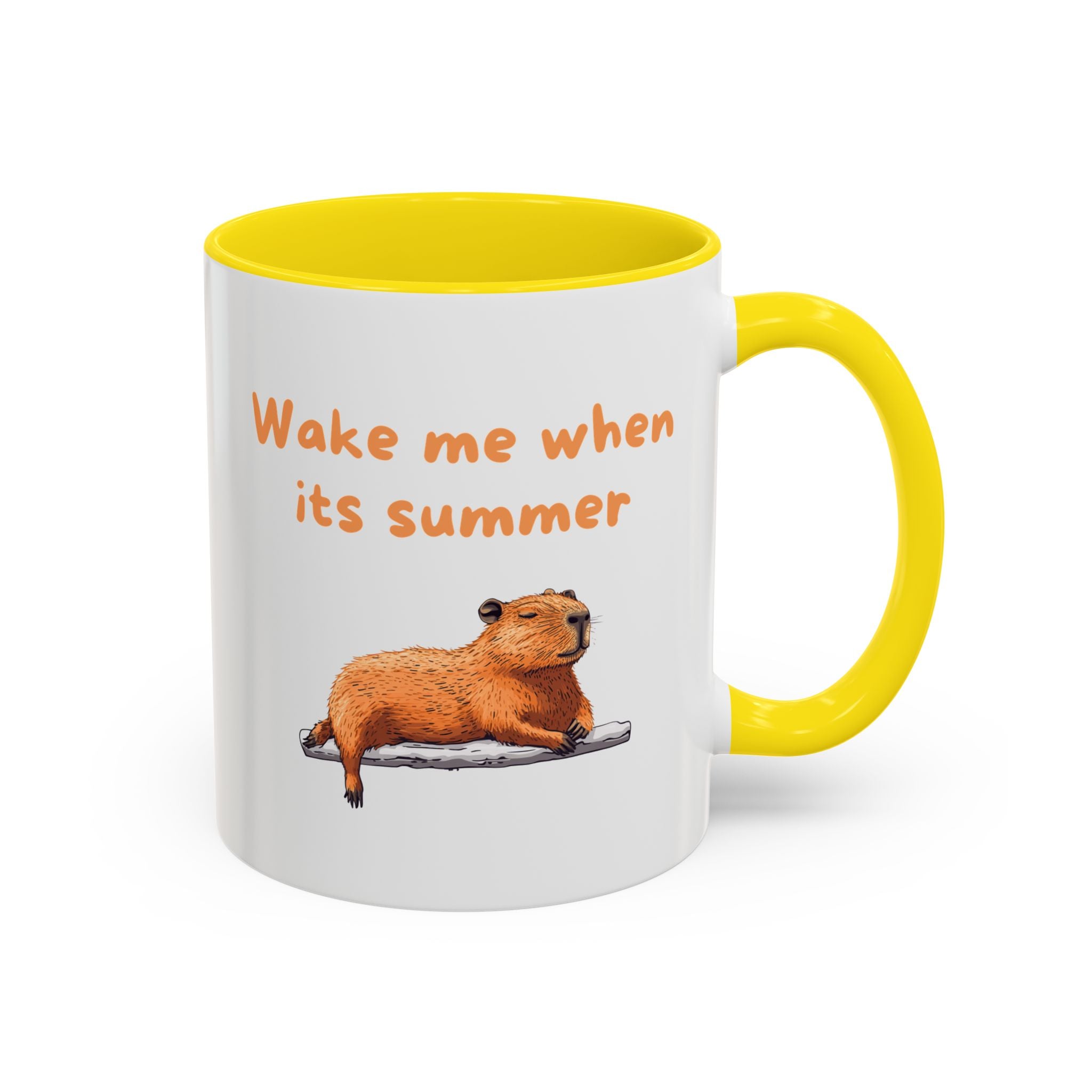 Wake Me When It's Summer - Fun Accent Coffee Mug