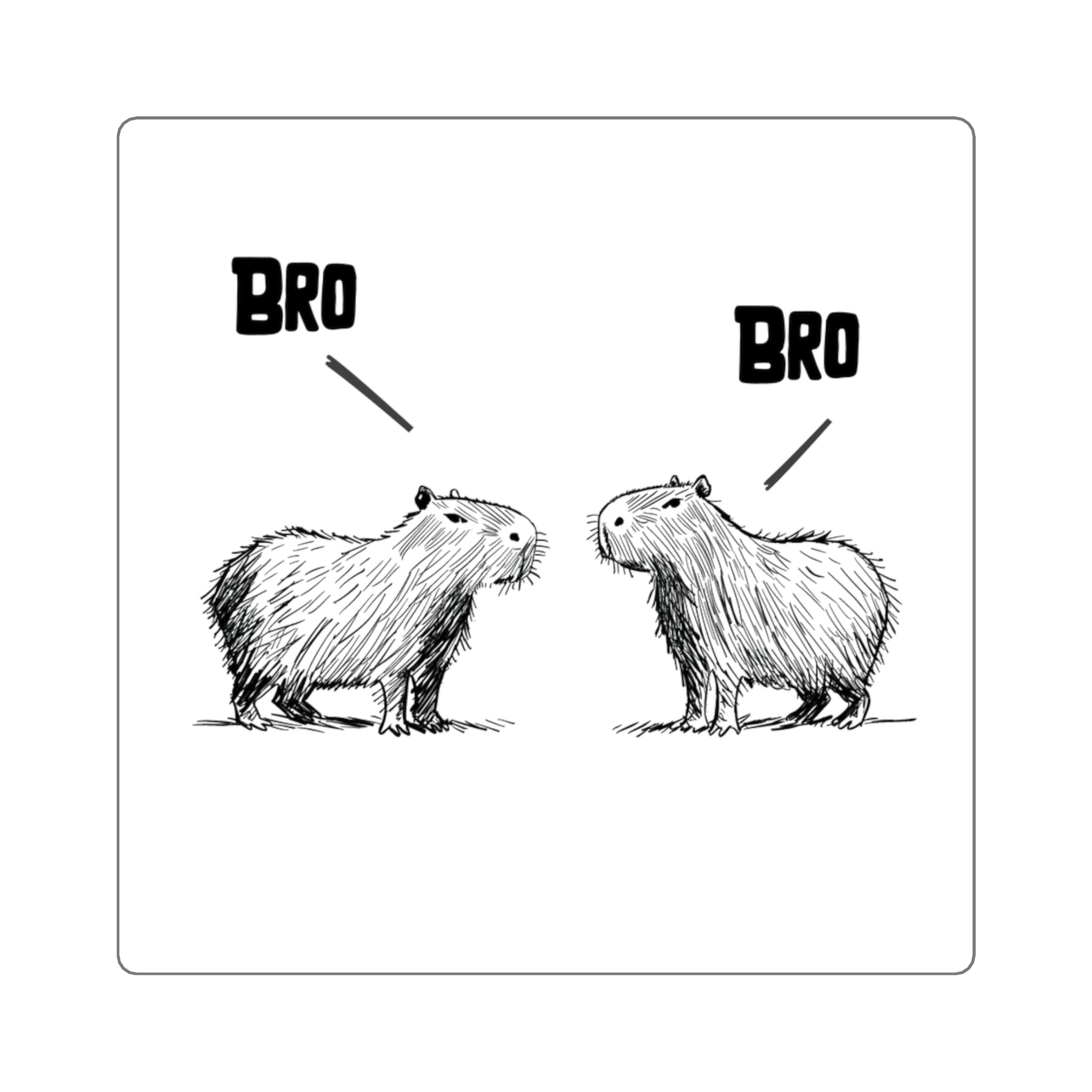 Bro Bro Sticker – Funny Capybara Meme Vinyl Sticker for Water Bottles & Laptops