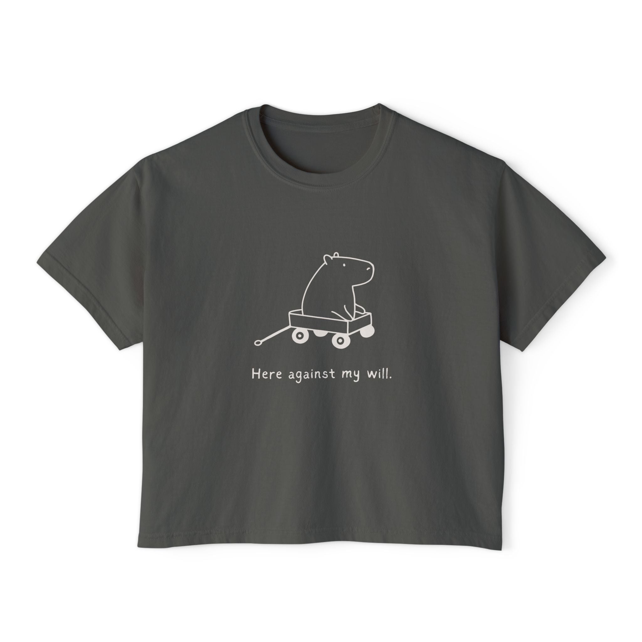 Capybara t-shirt design - view 4