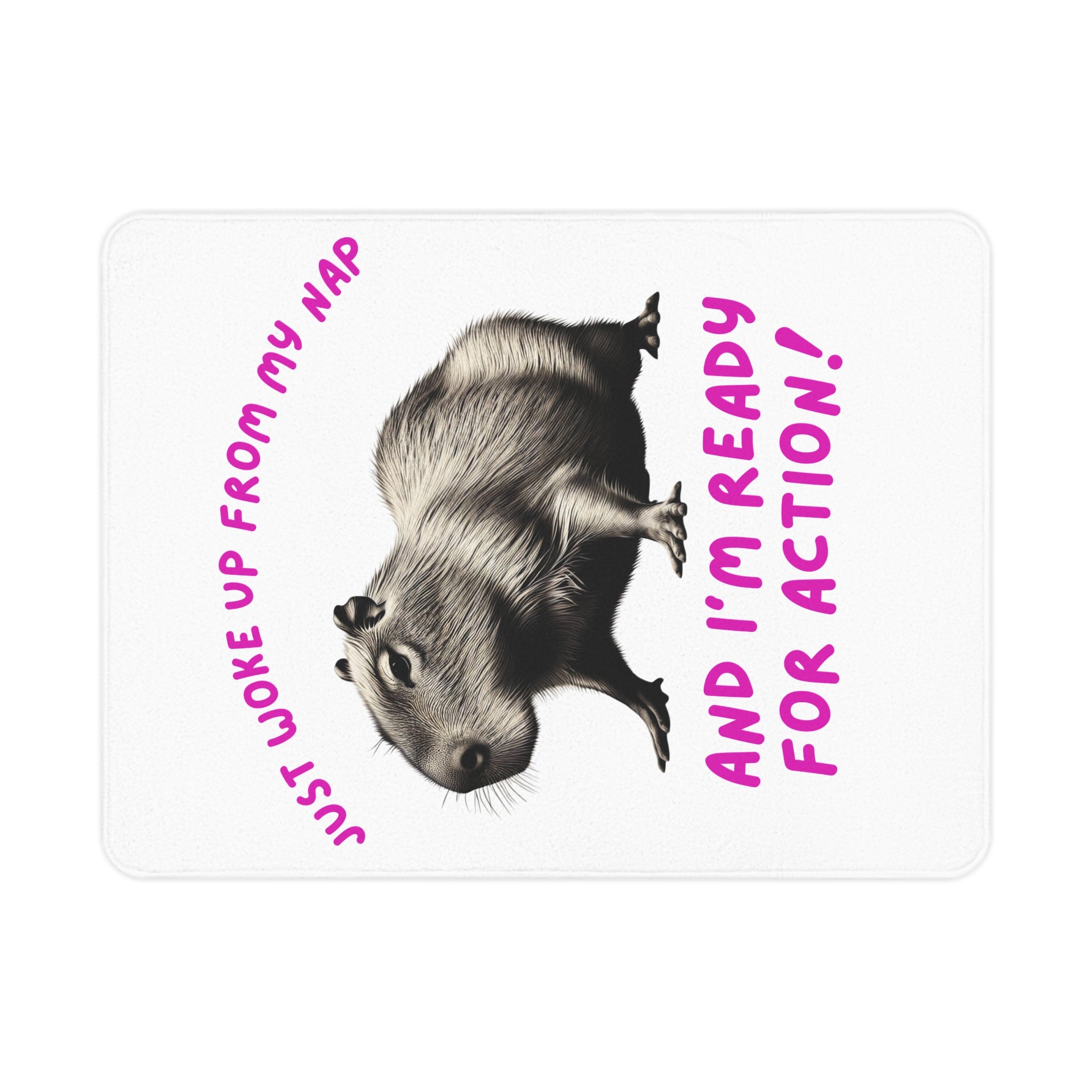 Funny Toddler Blanket, Cute Animal Blanket, Nap Time Gift, Kids Room Decor, Capybara Blanket, Baby Shower Gift