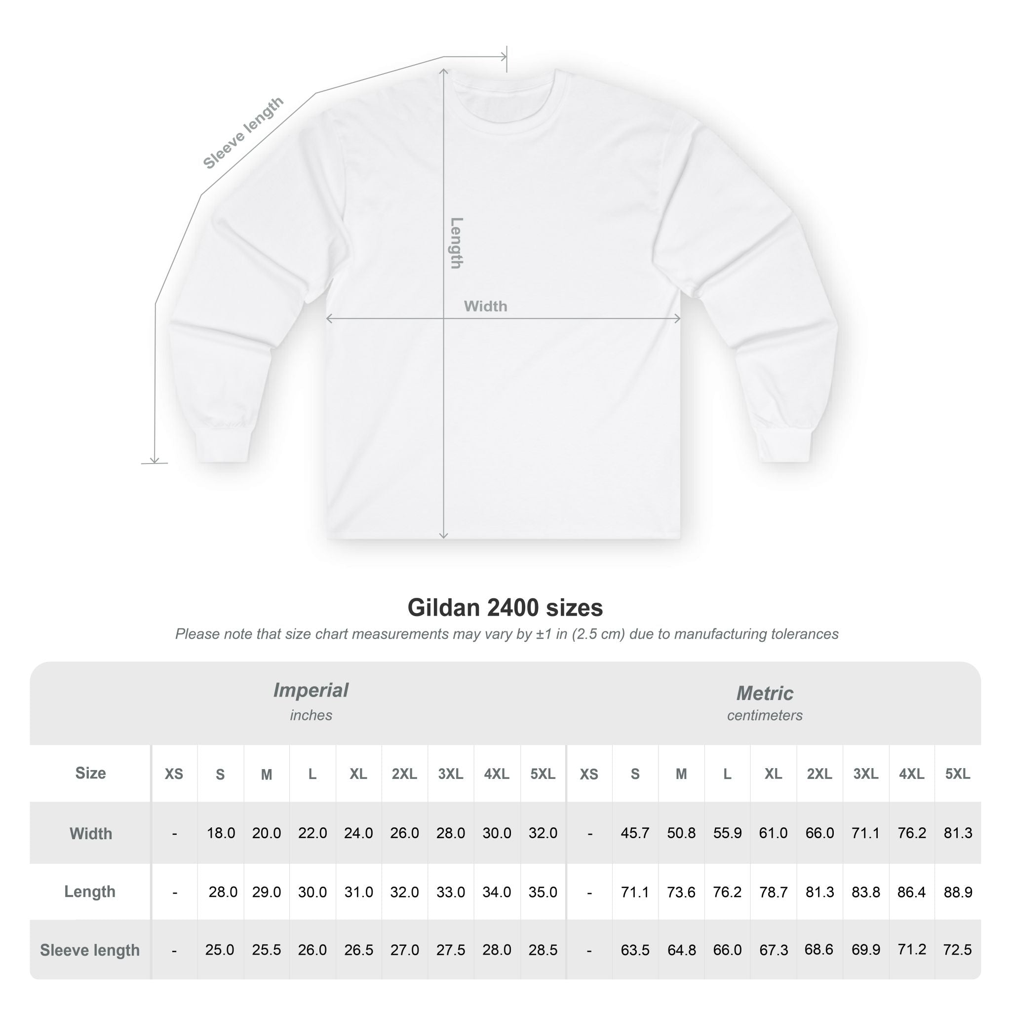 Funny Minimalist Long Sleeve Tee - Capybara Causing Problems Politely