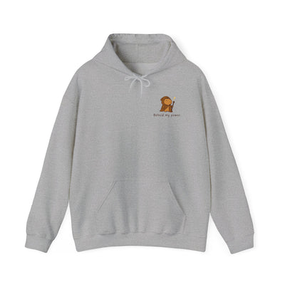 Behold My Power Hoodie – Funny Capybara Wizard Hoodie for Adults