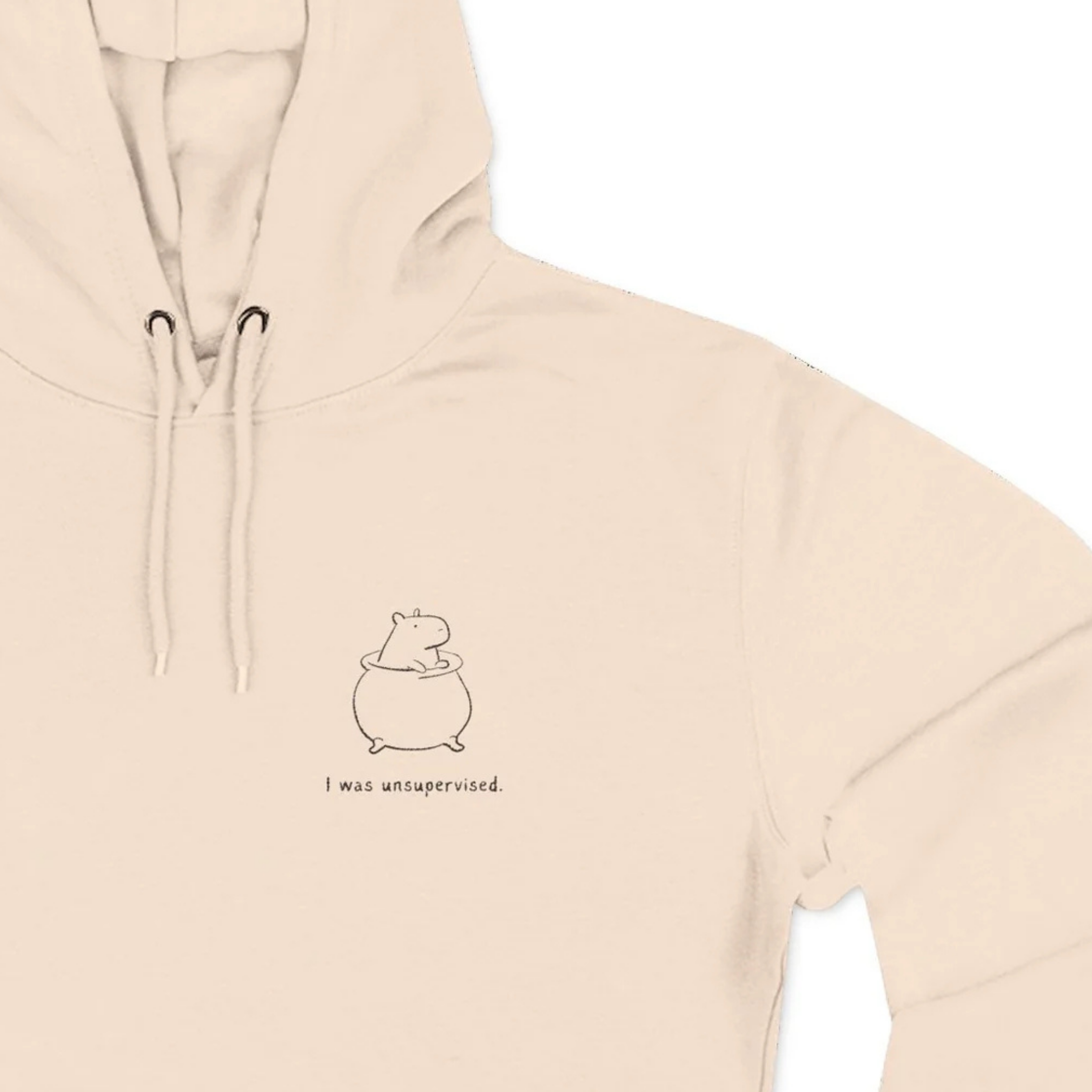 I Was Unsupervised Embroidered Capybara Premium Hoodie