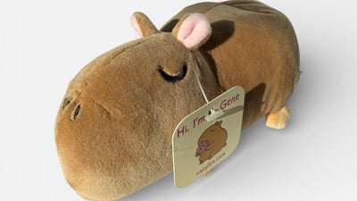 Gene capybara plush toy top view with Hi I'm Gene hang tag from CapyLife