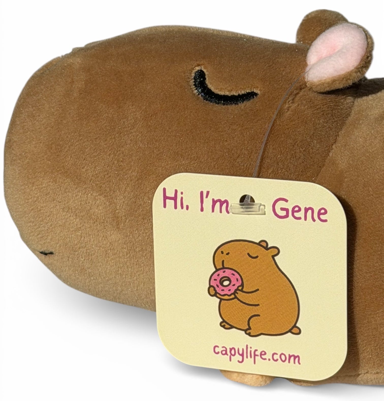 Soft brown plush capybara stuffed animal toy with pink donut, text "Hi, I'm Gene" on hang tag.