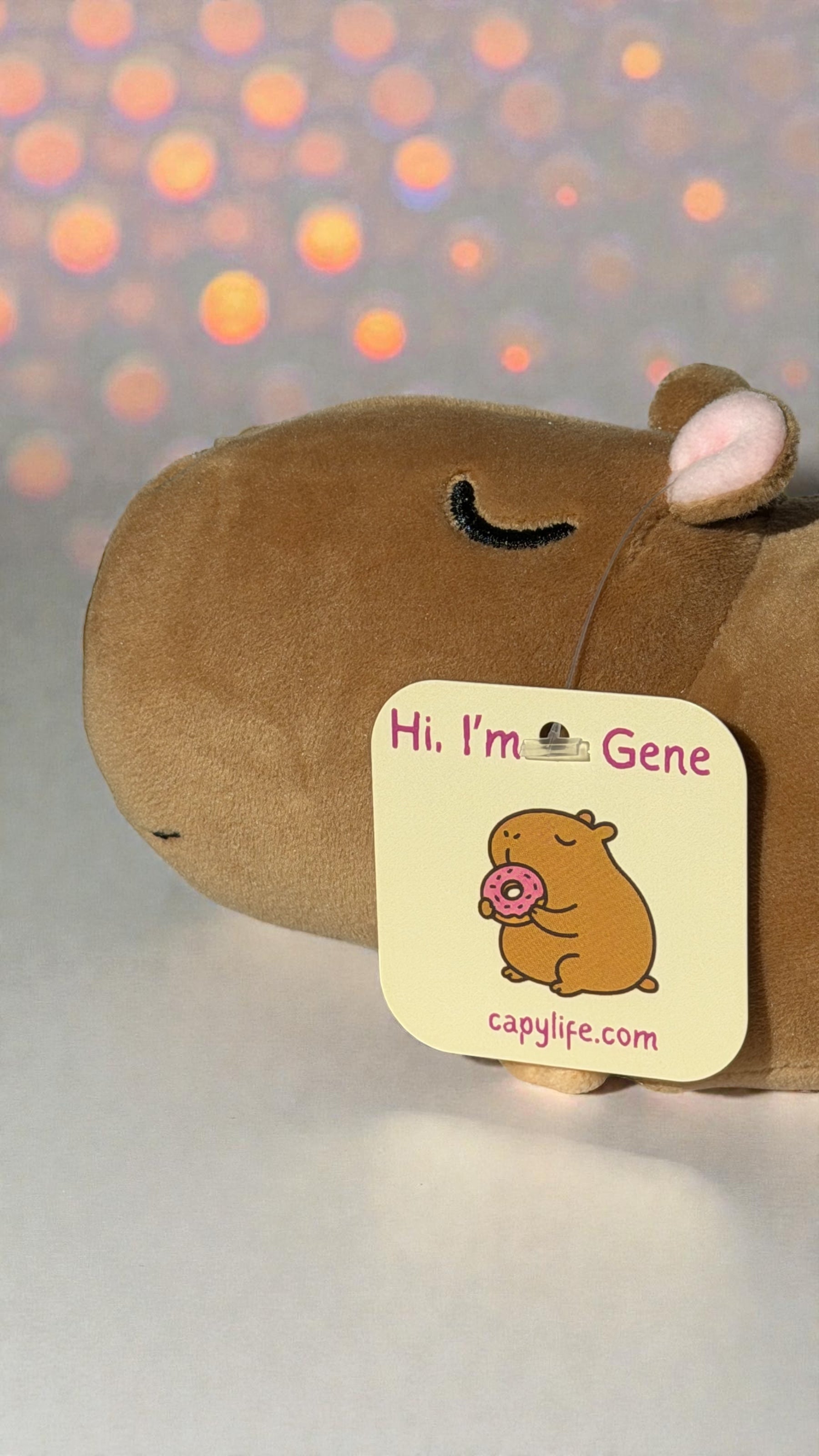 Close-up of Gene capybara plush face with Hi I'm Gene hang tag and bokeh lights