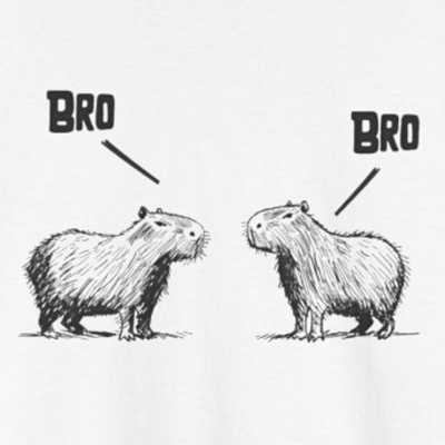"Bro, Bro" Funny Capybara Bros Graphic Adult Heavy Tee