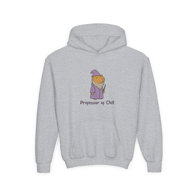 Capy Life kids grey hoodie featuring a cute wizard capybara graphic with the text Professor of Chill
