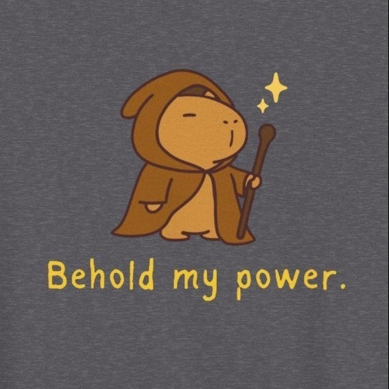 Behold My Power Kids Hoodie – Funny Wizard Capybara Hoodie for Kids